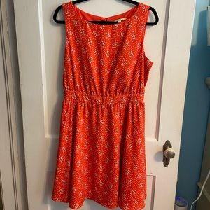Orange Gianni Bini Women’s Dress